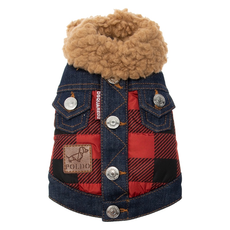 Accessori Dog Dsquared2 vep0002