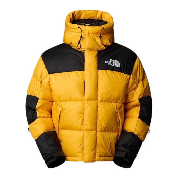 Winter Jacket The North Face