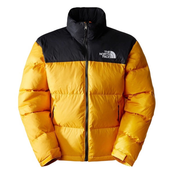 Winter Jacket The North Face