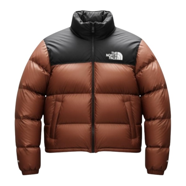 Winter Jacket The North Face retro