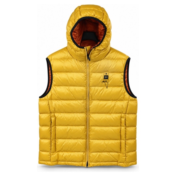 Smanicato Blauer wblux03004